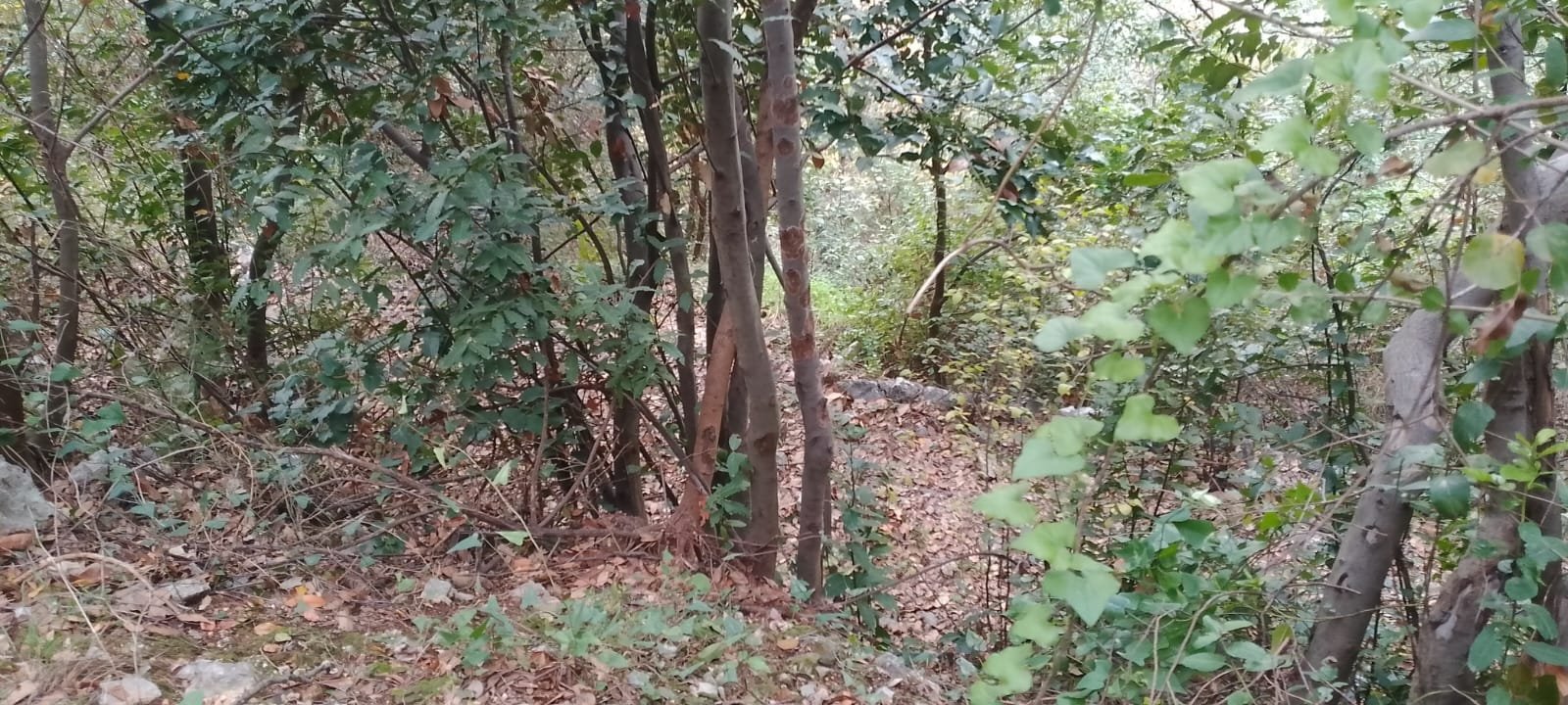 Land for sale in Sahel Alma with open sea view — photo 4
