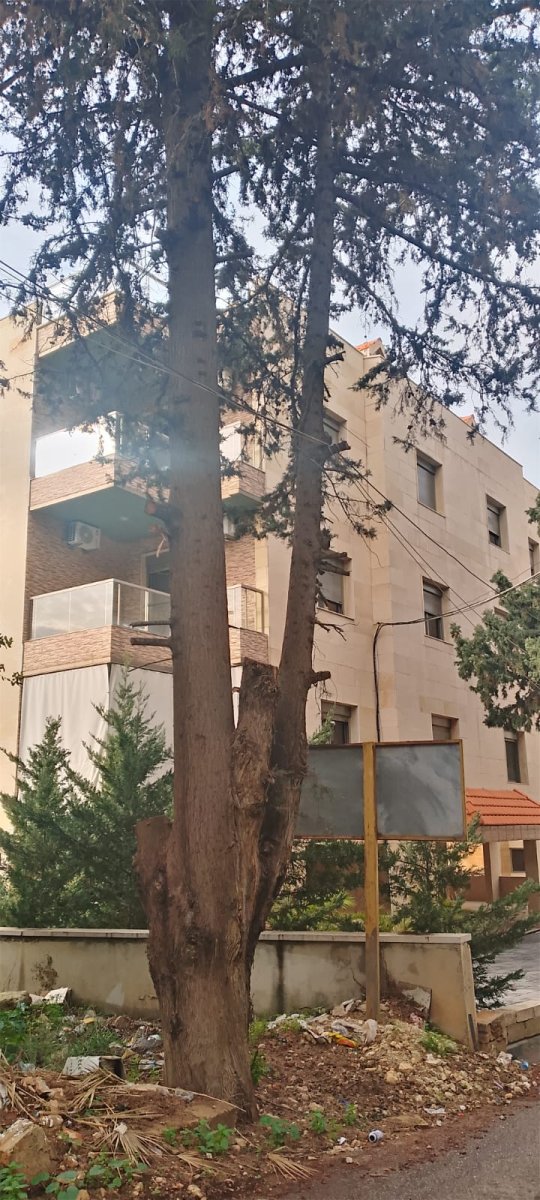 Apartment for sale in Kfarhbab with sea view — photo 6