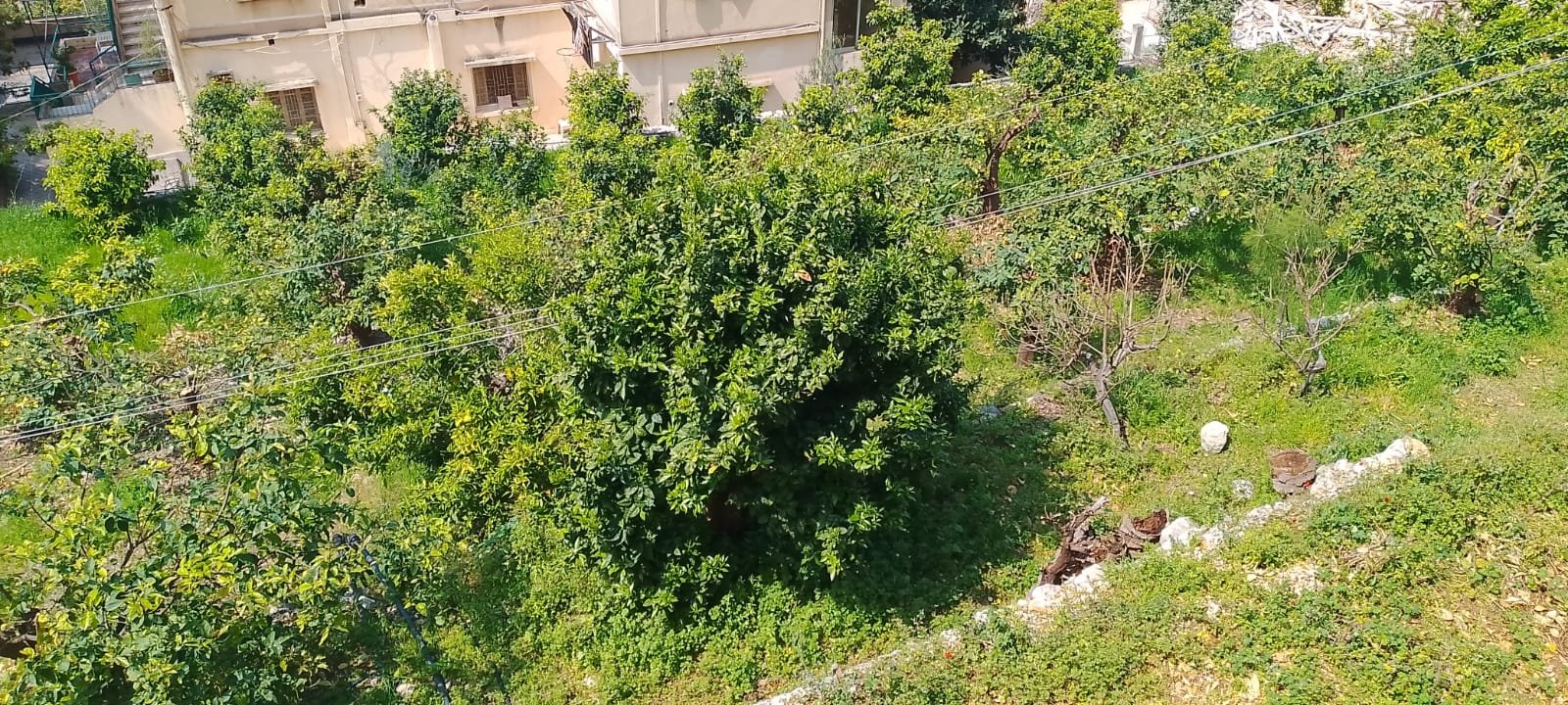 Land for sale in Sahel Alma with 250 SQM traditional old house — photo 2