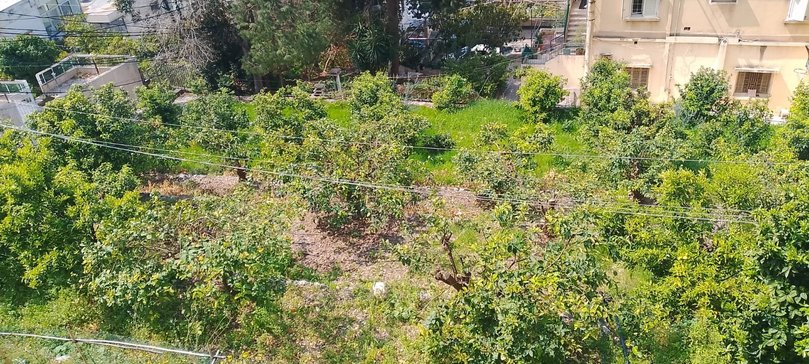 Land for sale in Sahel Alma with 250 SQM traditional old house — main photo