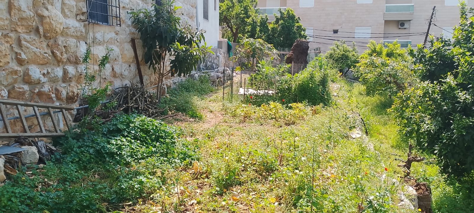 Land for sale in Sahel Alma with 250 SQM traditional old house — photo 6