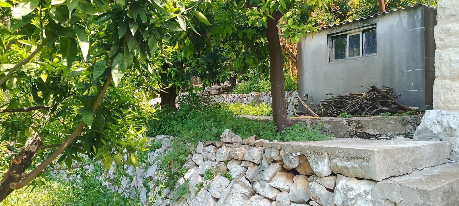 Land for sale in Sahel Alma with 250 SQM traditional old house — photo 7
