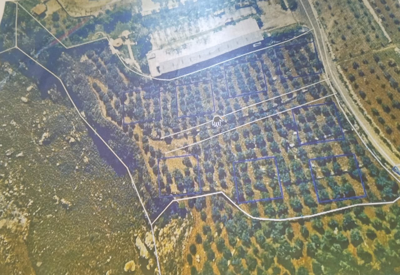 Exceptional Estate Land for Sale in Bsarma — Koura