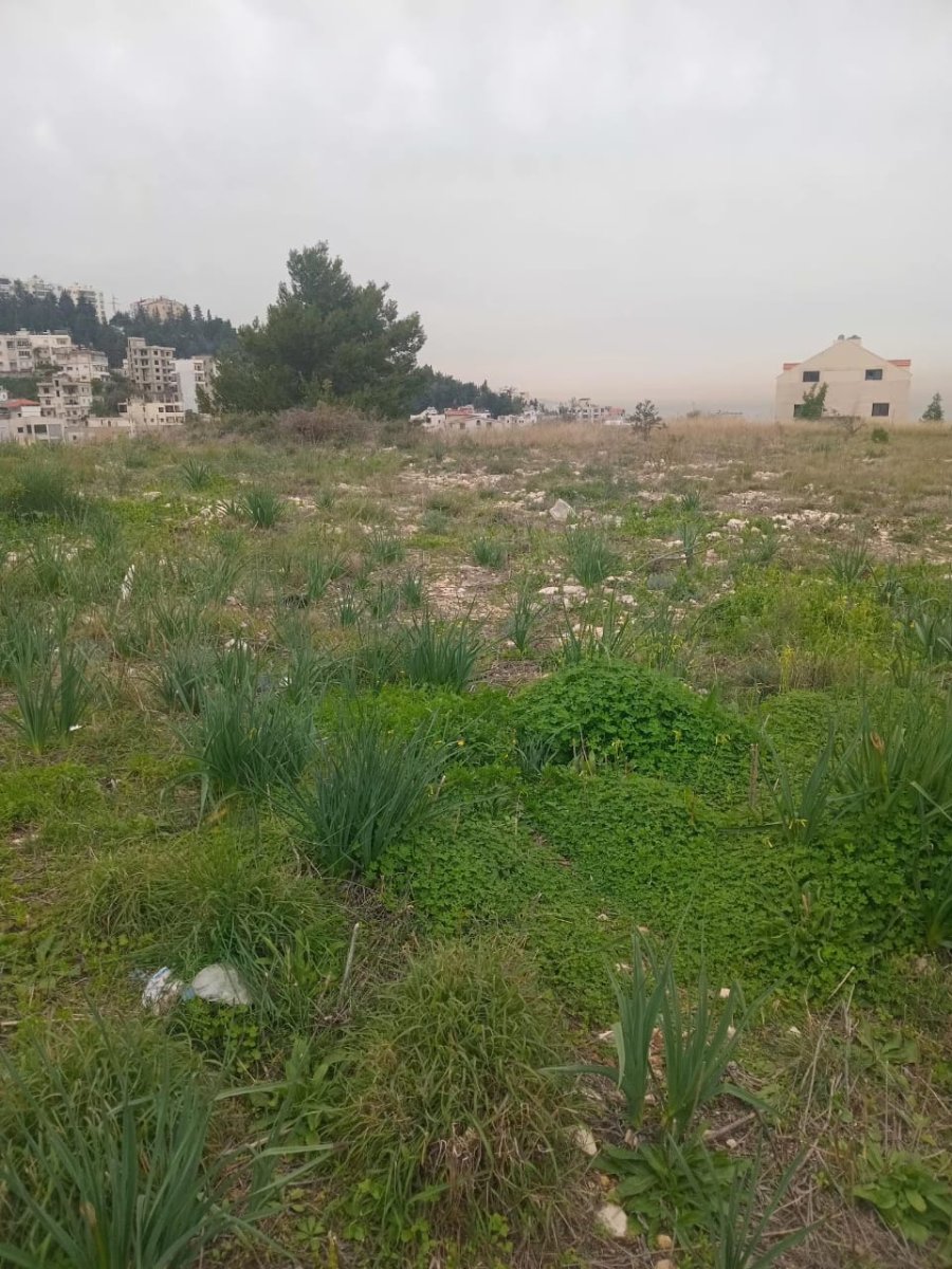 Premium Sea View Land for Sale in Blat – High-End Investment Opportunity — Jbeil