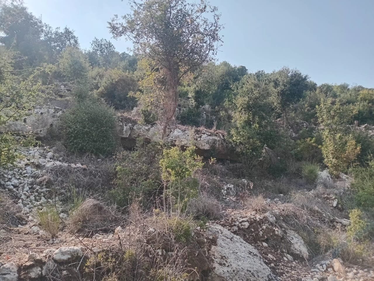 Strategic Land for Sale in Boxmaia — Batroun