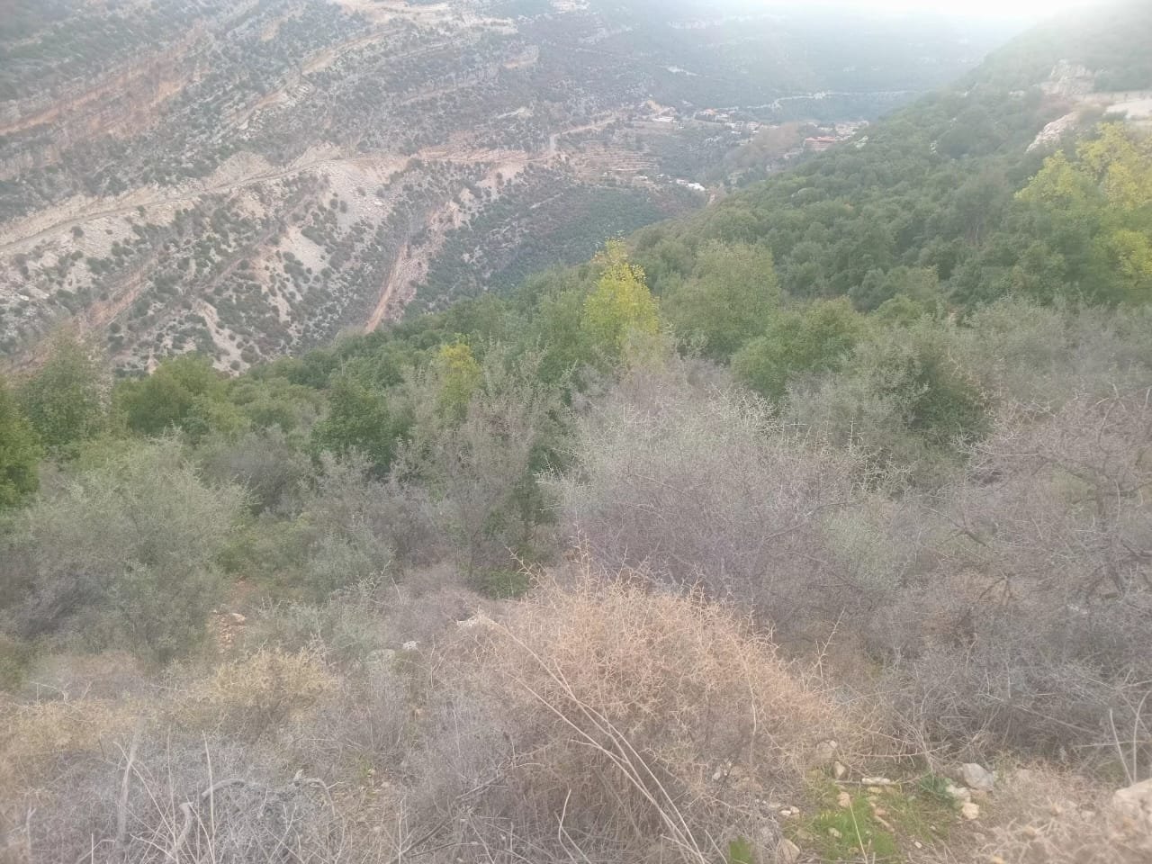 Prime Highway Frontage Land with Panoramic Views in Daael — Batroun