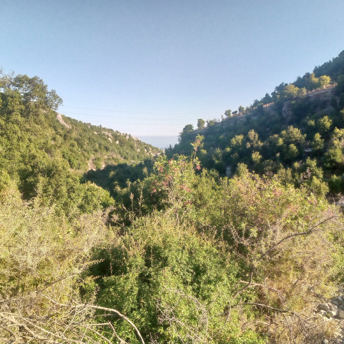 Land for sale . Assia Area — main photo