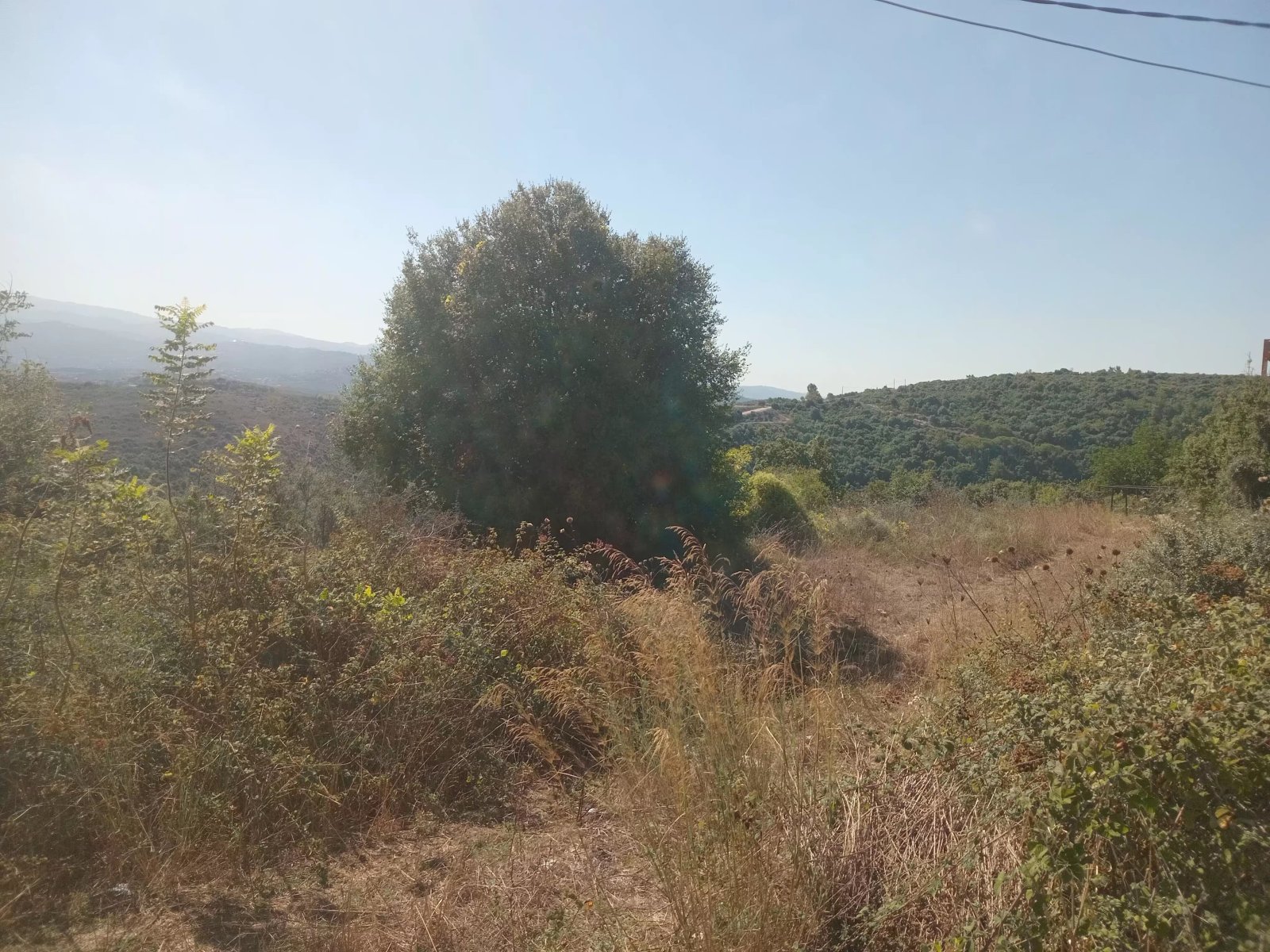 Land for sale in Ijdabra, batroun - Main Access — main photo