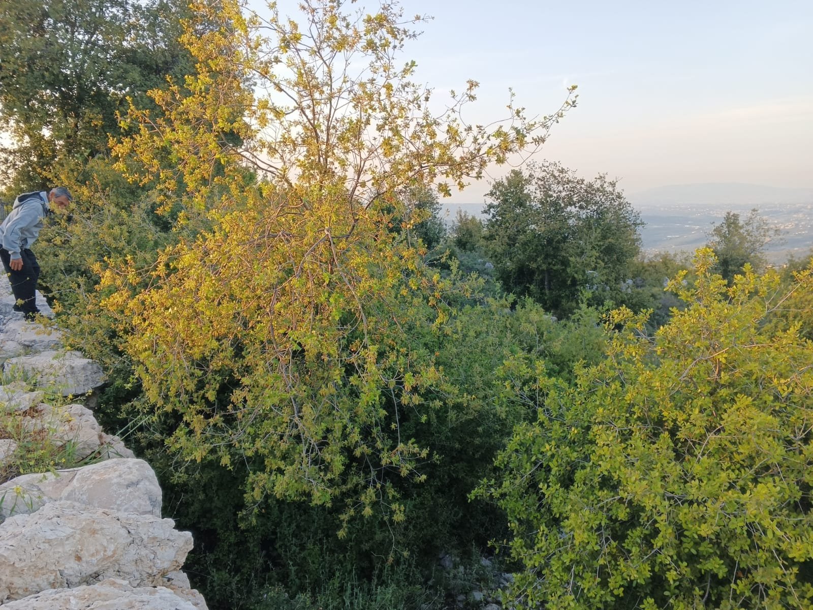 Prime 3,551 sqm Land for Sale in Asia, Batroun | Sea & Mountain View — photo 2