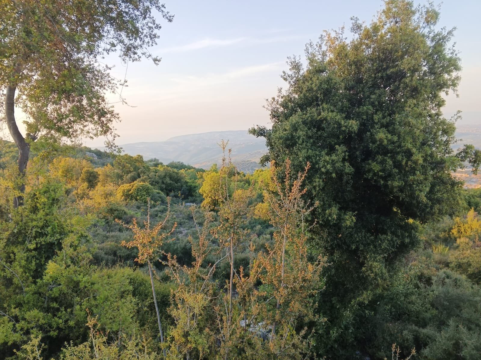 Prime 3,551 sqm Land for Sale in Asia, Batroun | Sea & Mountain View — Batroun