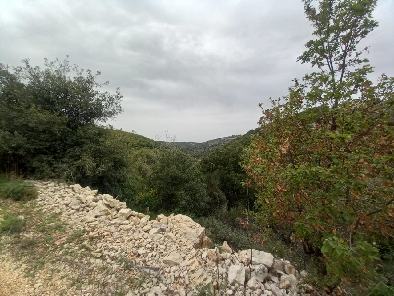 2000sqm Sea View Land for Sale in Racha, Batroun — main photo
