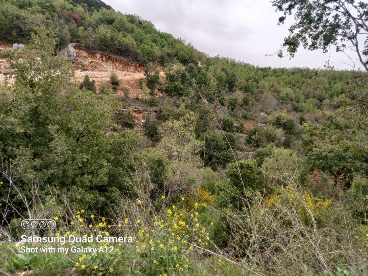 2000sqm Sea View Land for Sale in Racha, Batroun — photo 4