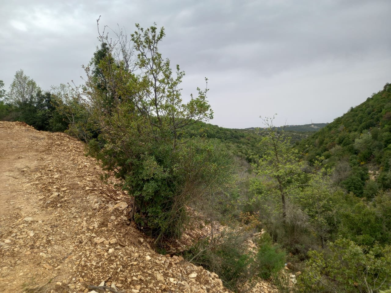2000sqm Sea View Land for Sale in Racha, Batroun — photo 5