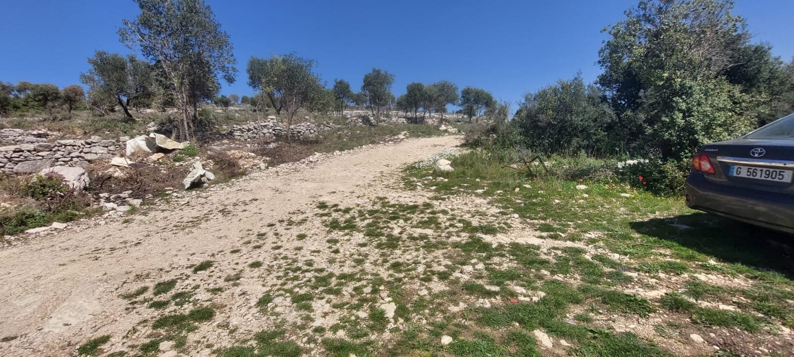 wonderful land in gharzouz — photo 2