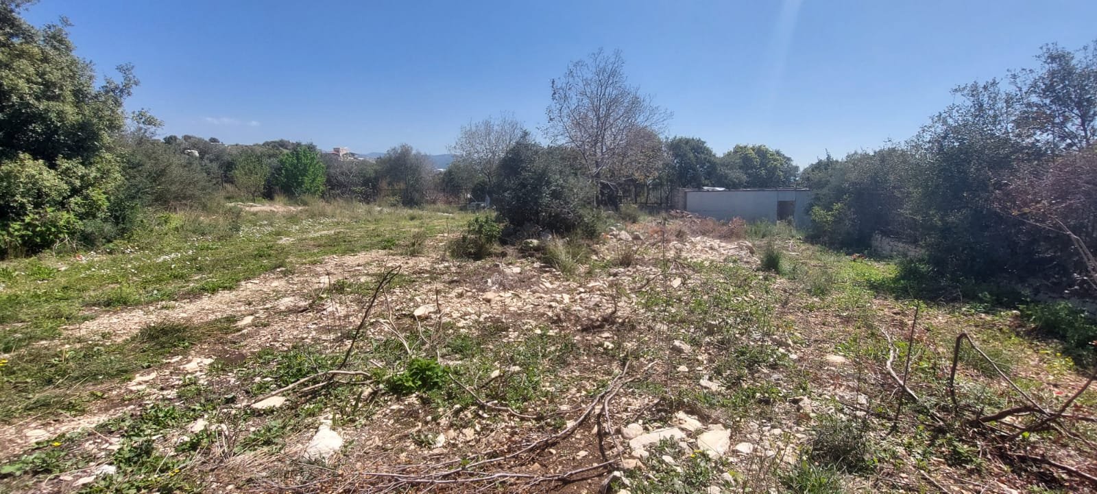 wonderful land in gharzouz — photo 3