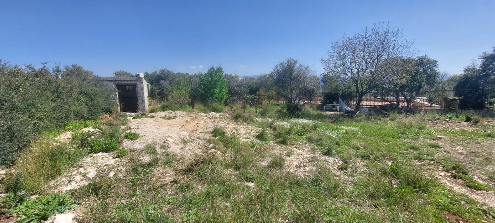 wonderful land in gharzouz — photo 5