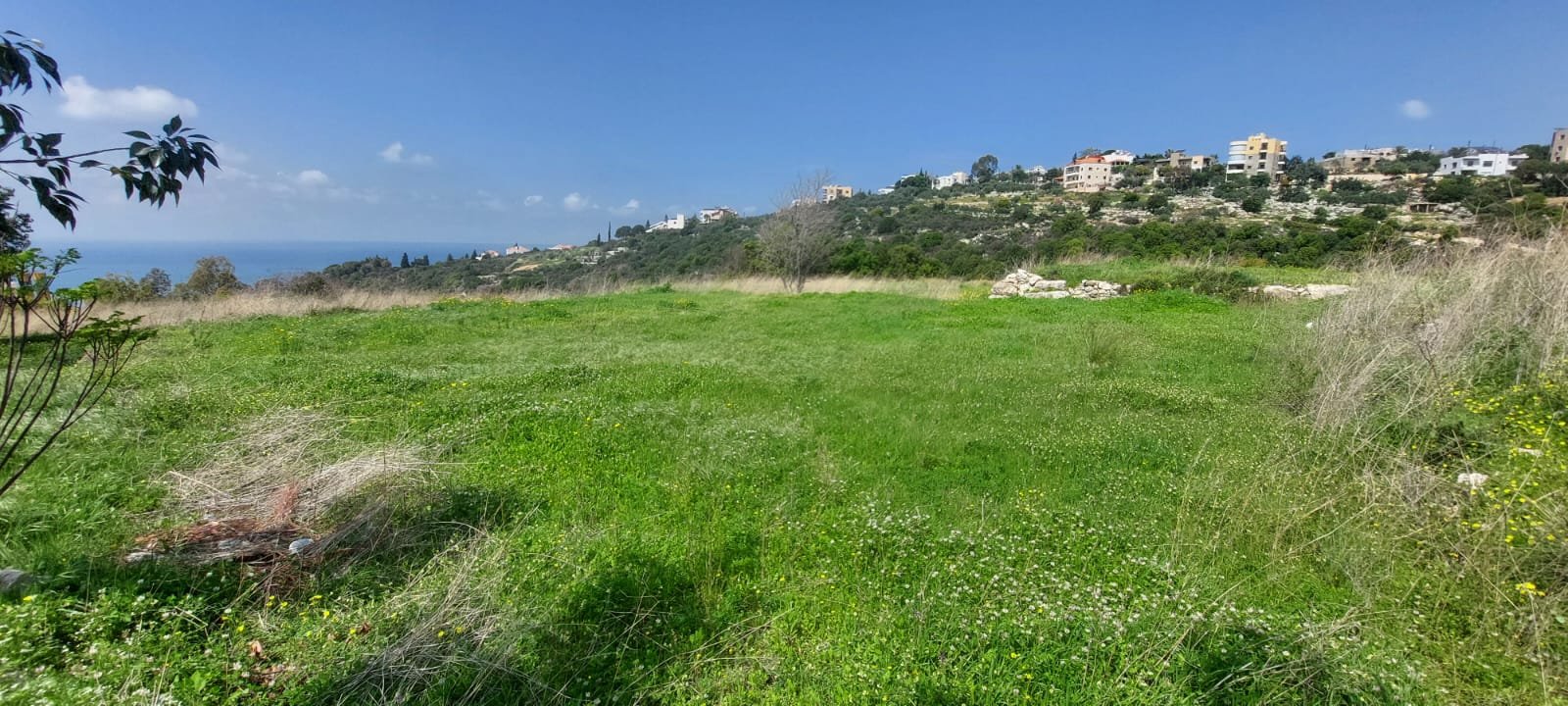 Industrial land for sale — photo 2