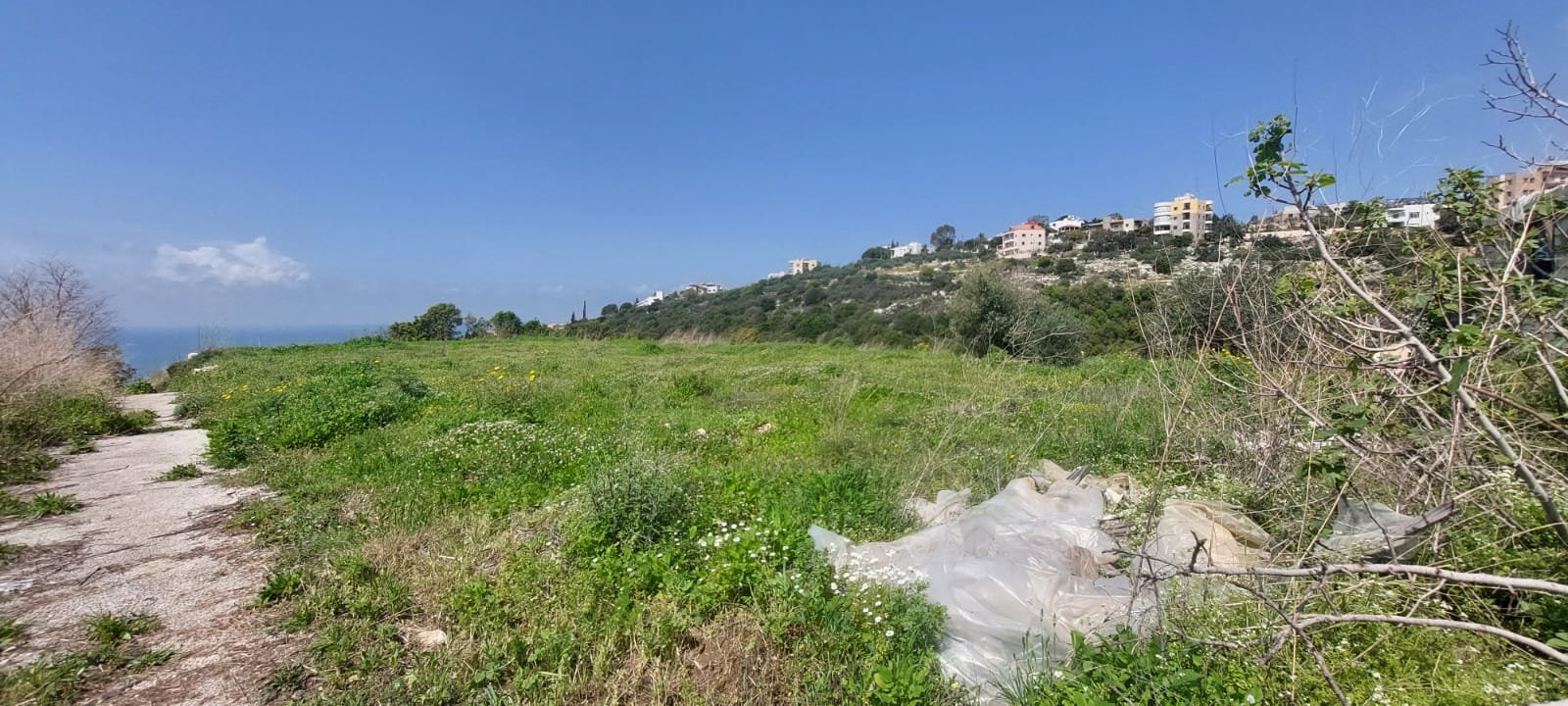 Industrial land for sale — photo 3