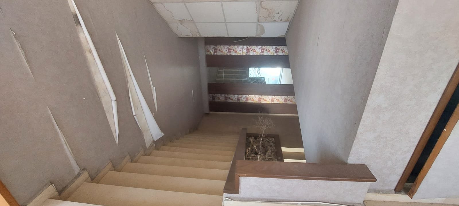 Showroom for rent directly on beach road — photo 10