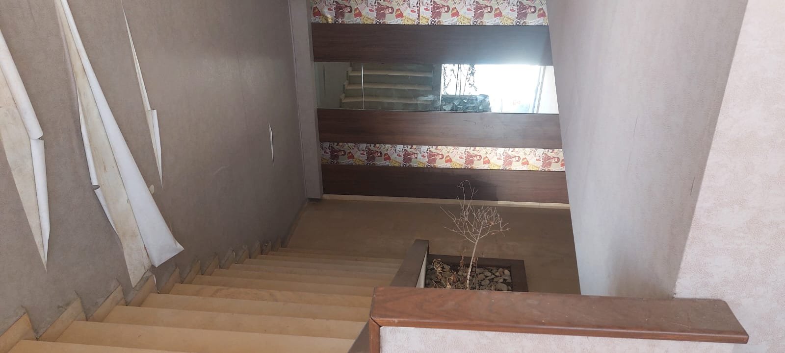 Showroom for rent directly on beach road — photo 9