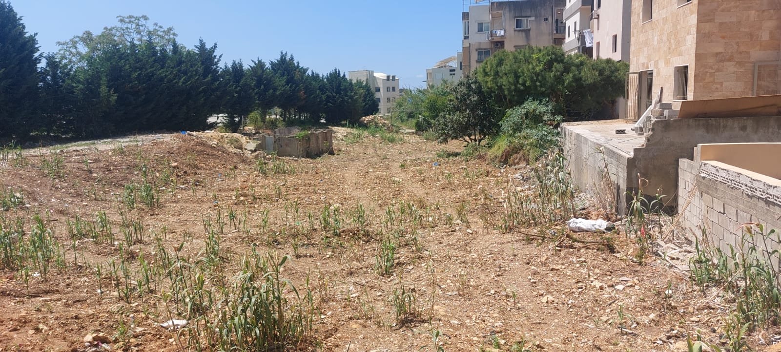 1,100sqm Prime Land for Rent in Jbeil Byblos — photo 3