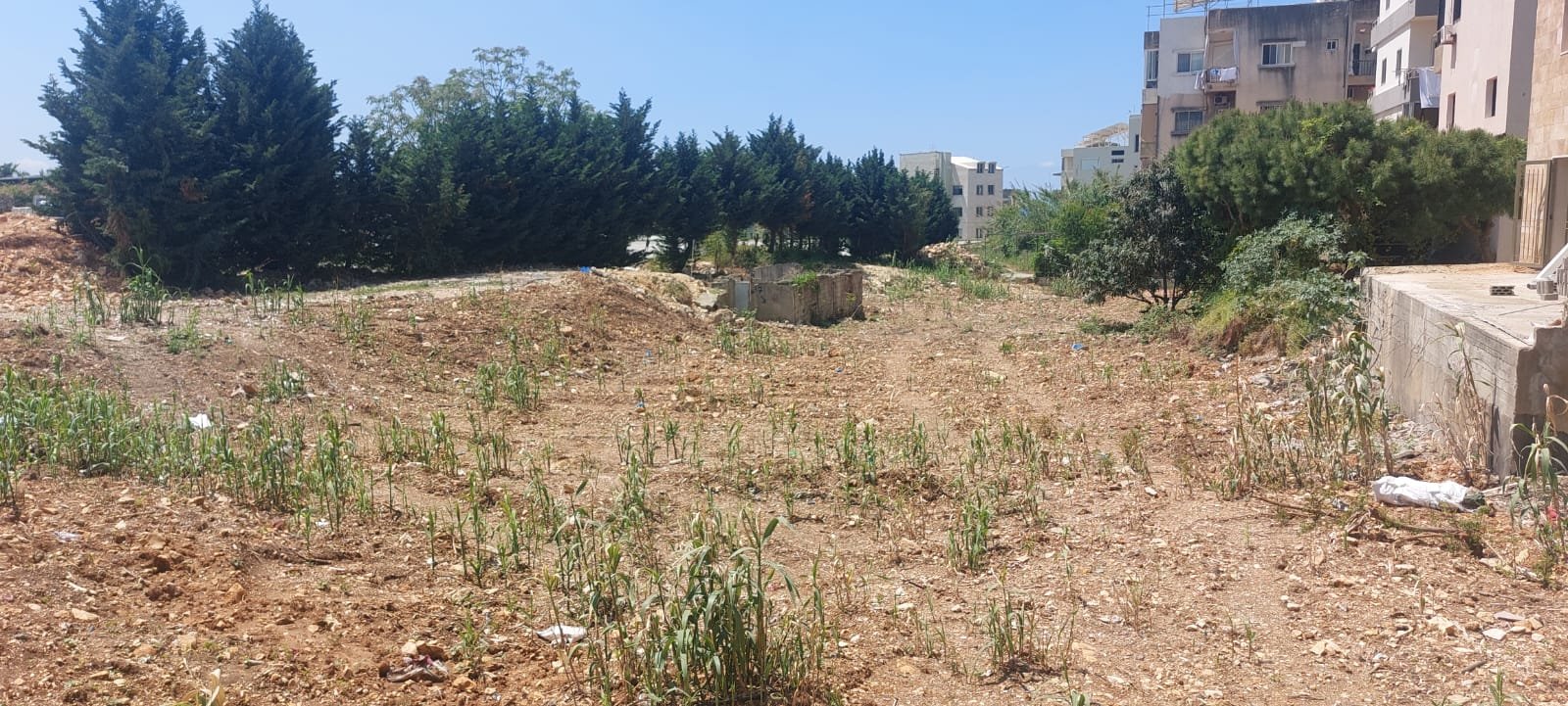 1,100sqm Prime Land for Rent in Jbeil Byblos — photo 2