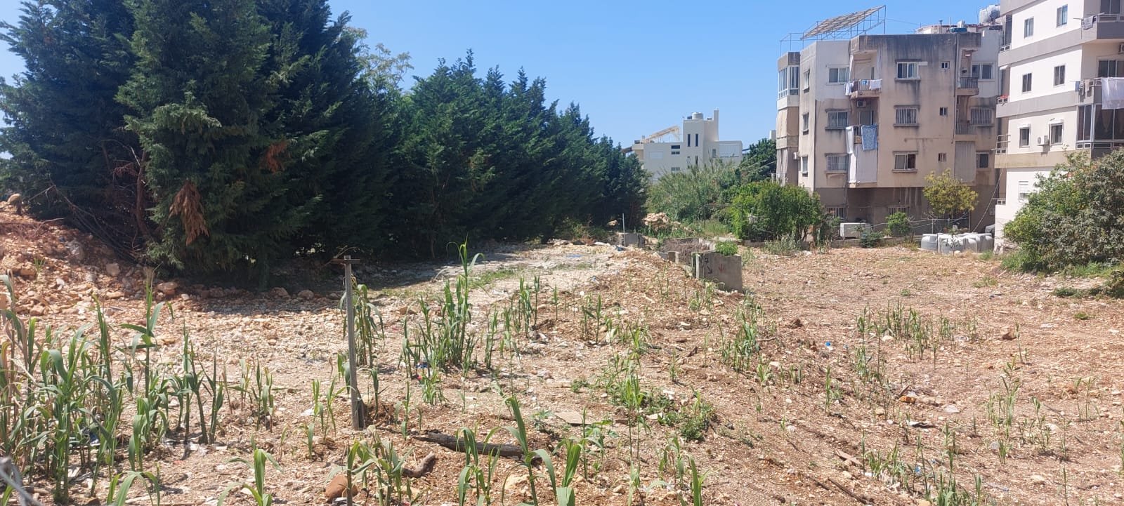 1,100sqm Prime Land for Rent in Jbeil Byblos — Jbeil ( Byblos )